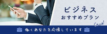 ビジネスおすすめプラン